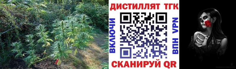 ТГК гашишное масло  мега ONION  Миньяр 