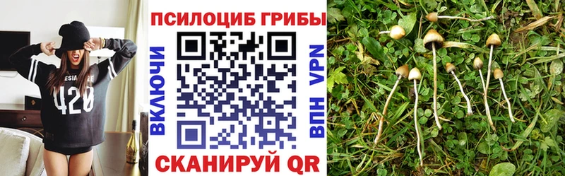 цена   Миньяр  kraken как зайти  Псилоцибиновые грибы ЛСД 